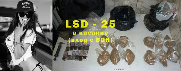 твердый Вяземский