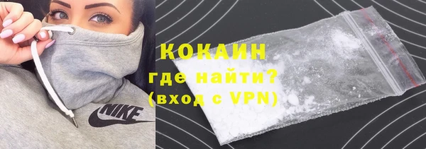твердый Вяземский