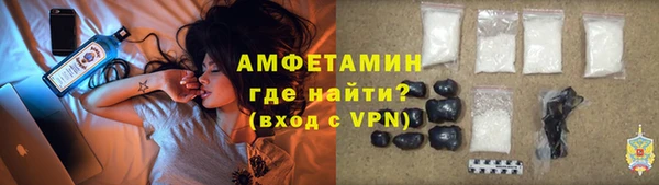 твердый Вяземский