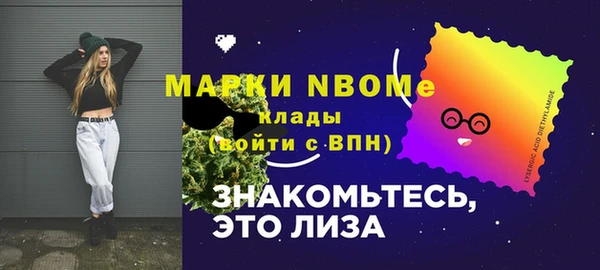 твердый Вяземский