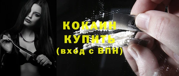 твердый Вяземский