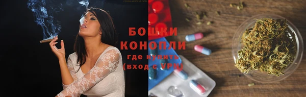 PSILOCYBIN Вязьма