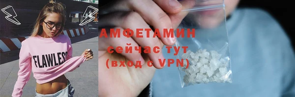 твердый Вяземский