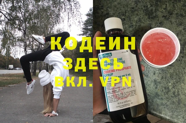 твердый Вяземский