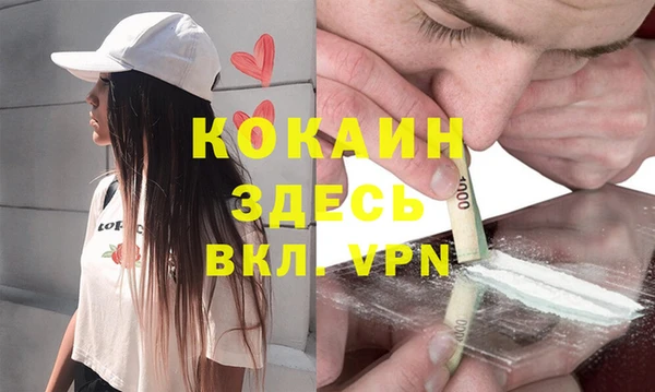 твердый Вяземский