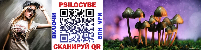 Псилоцибиновые грибы мухоморы  где можно купить наркотик  Сергач 